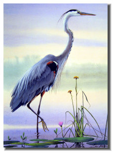 osceola_art_and_frame006014.jpg