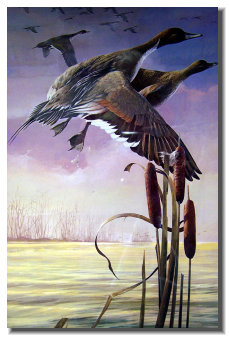 osceola_art_and_frame006020.jpg
