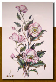 osceola_art_and_frame009003.jpg