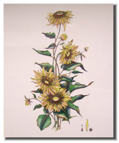 osceola_art_and_frame009006.jpg